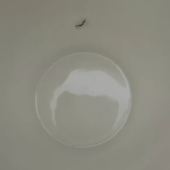 Hall's Kitchenware Vintage 1930s Pale Yellow Wild Poppy & Wheat Ceramic Pitcher - Picture 9 of 10